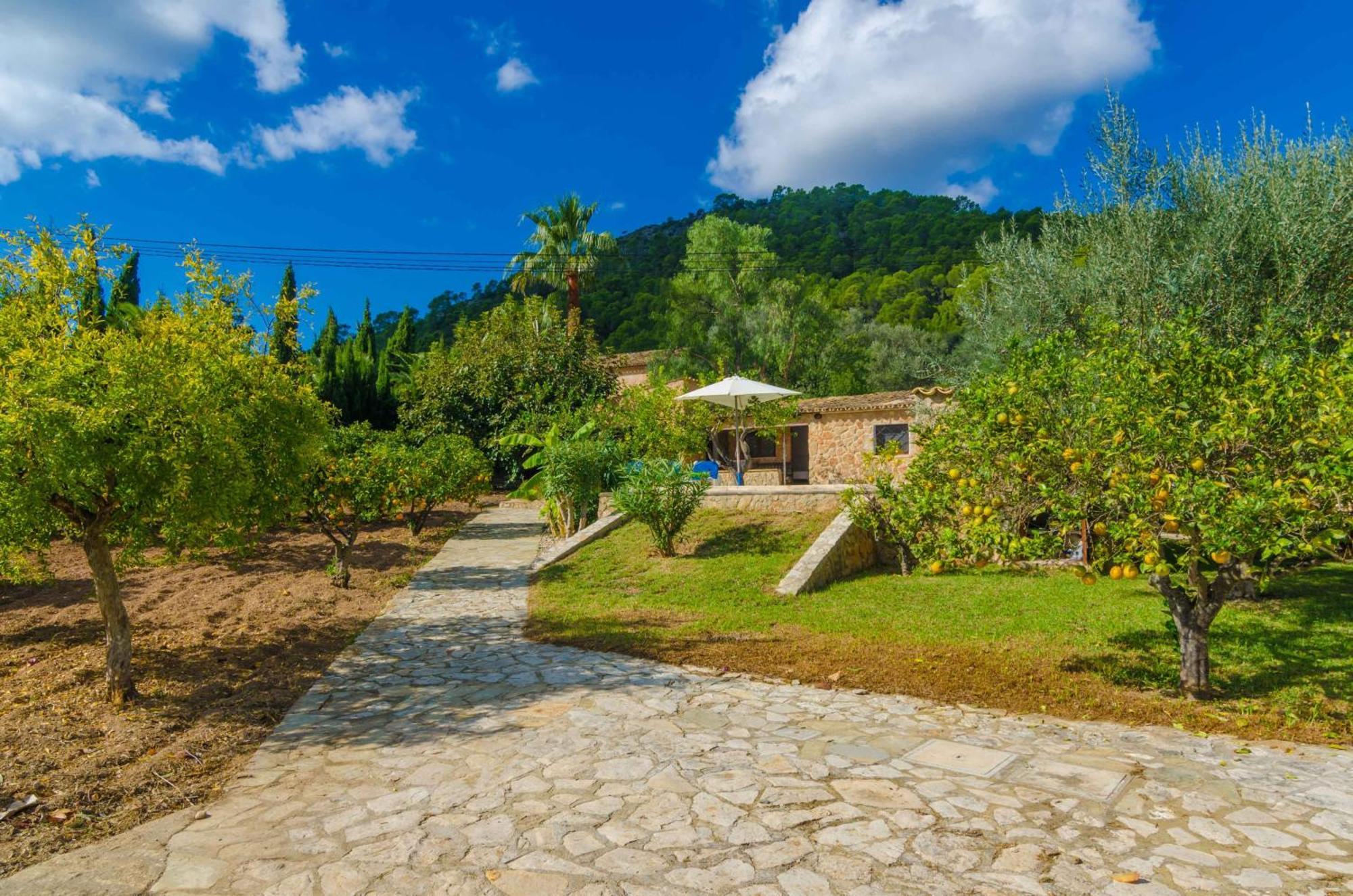 הוילה אנדרטקס Casa Margarita מראה חיצוני תמונה